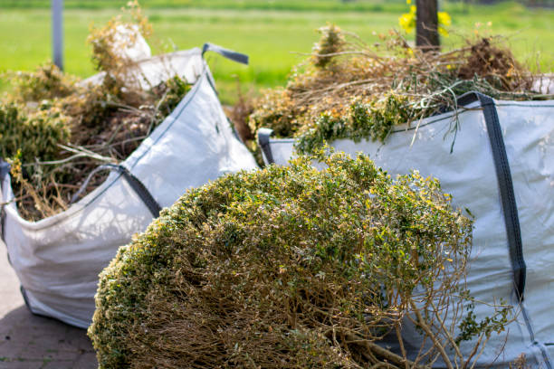 Best Dumpster Rental Services  in Elizabethton, TN